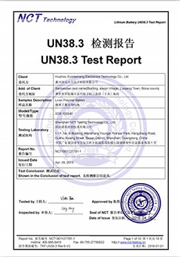 UN38.3 Testing Report